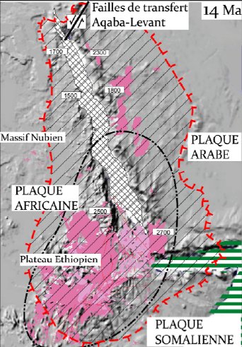 www.nubie-international.fr